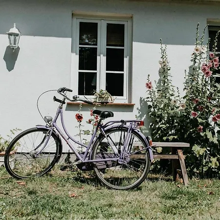 Gutshaus Krimvitz Ferienwohnung Auf Ruegen Putbus Exterior photo