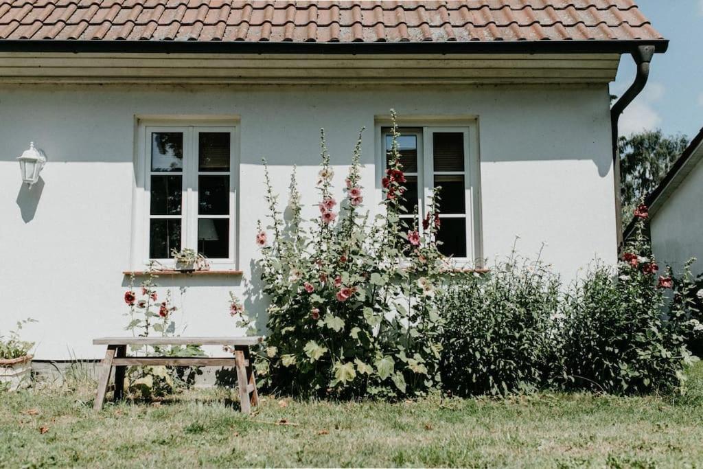 Gutshaus Krimvitz Auf Ruegen Apartment